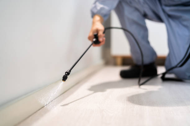 Licensed Pest Control service in Livingston, CA - Show Me Pest Control