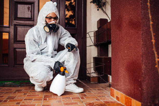 Attic and Crawl Space Rodent Treatment in Livingston